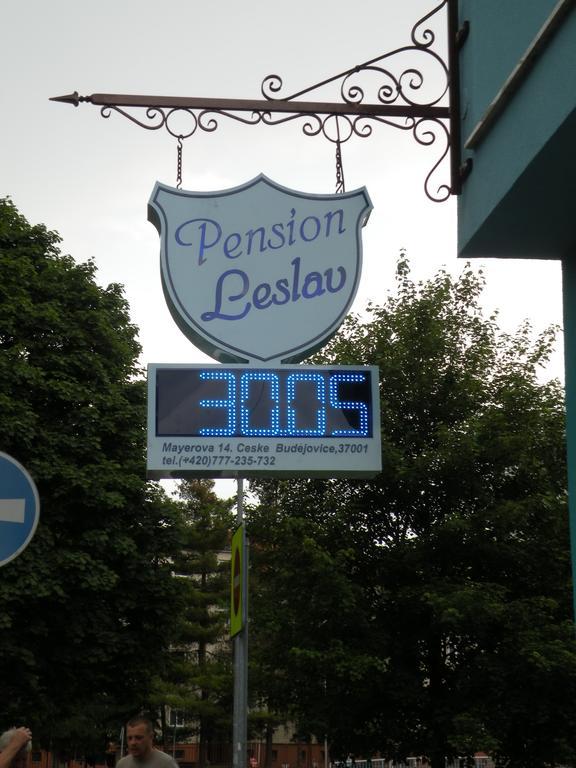 Penzion- Leslav เชสเกบูดิเยโจวิตเซ ภายนอก รูปภาพ